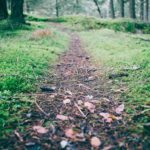 unsplash_52cb185a63c25