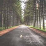 photo-1424746219973-8fe3bd07d8e3