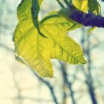 demo_img_10