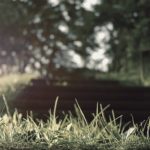 demo_img_45