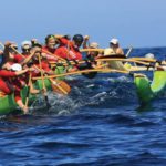 kadence-header-bkgd-shop